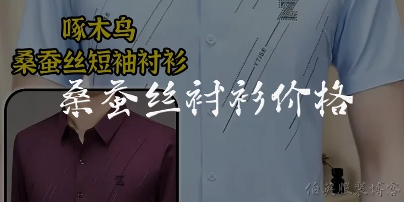 桑蚕丝衬衫价格