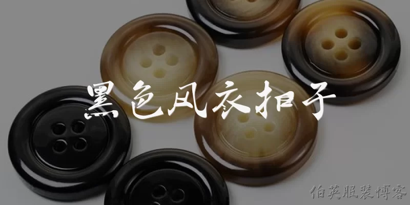 黑色风衣扣子