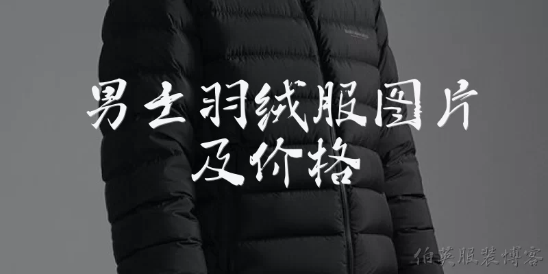 男士羽绒服图片及价格:2026年男士羽绒服的主流图片风格和价格区间是什么？