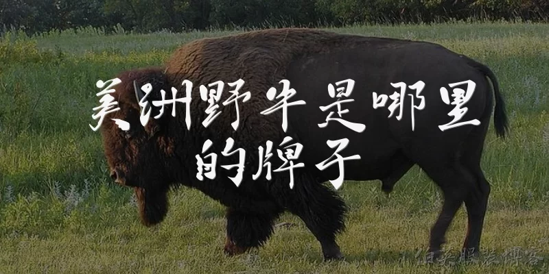 美洲野牛是哪里的牌子