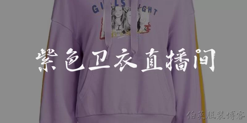 Purple Hoodie Live Stream Room